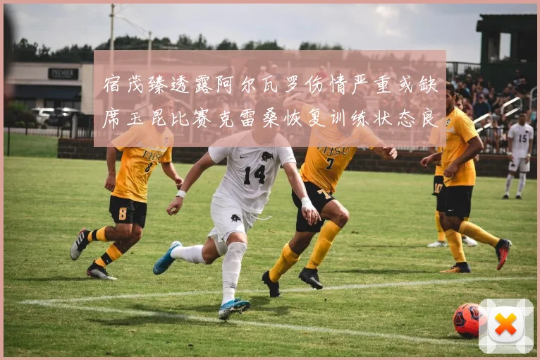 宿茂臻透露阿尔瓦罗伤情严重或缺席玉昆比赛克雷桑恢复训练状态良好