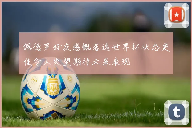 佩德罗好友感慨落选世界杯状态更佳令人失望期待未来表现